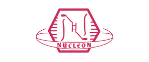 The Story of Nucleon