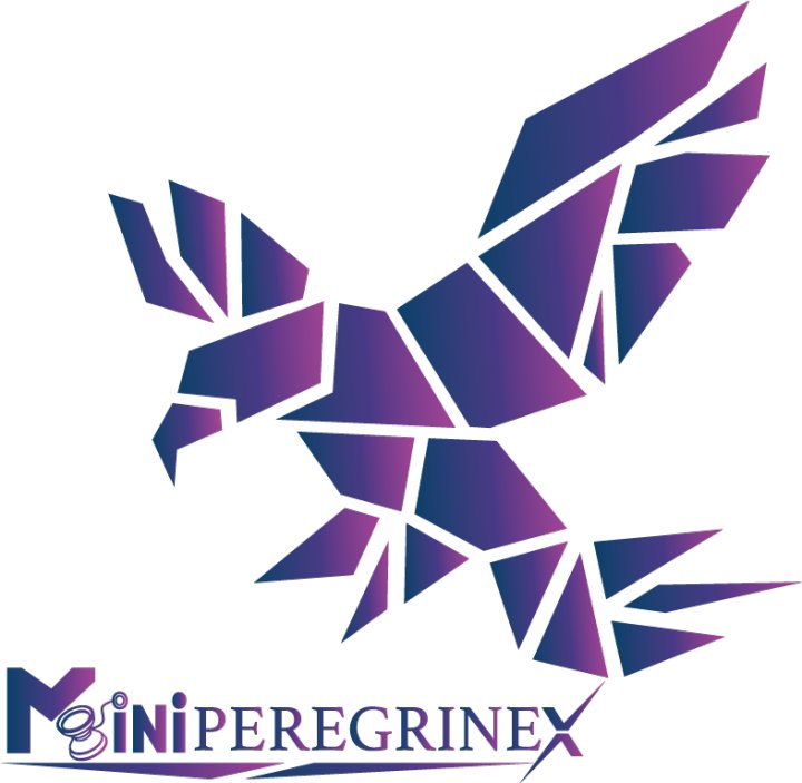 The story of Mini Peregrine X