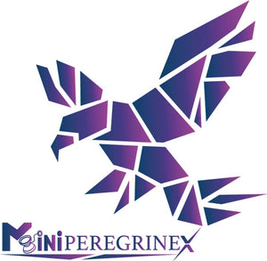 The story of Mini Peregrine X